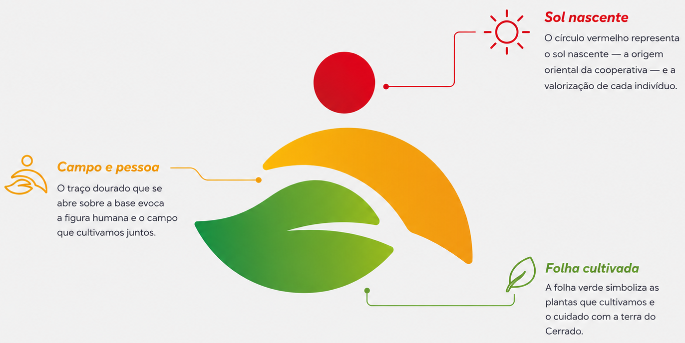 Símbolo da Coopadap explicado, em tons de vermelho, amarelo e verde: o círculo vermelho é o sol nascente, que representa a origem oriental da cooperativa e a valorização de cada indivíduo; o traço dourado evoca a figura humana e o campo cultivado em conjunto; e a folha verde simboliza as plantas que cultivamos e o cuidado com a terra do Cerrado.