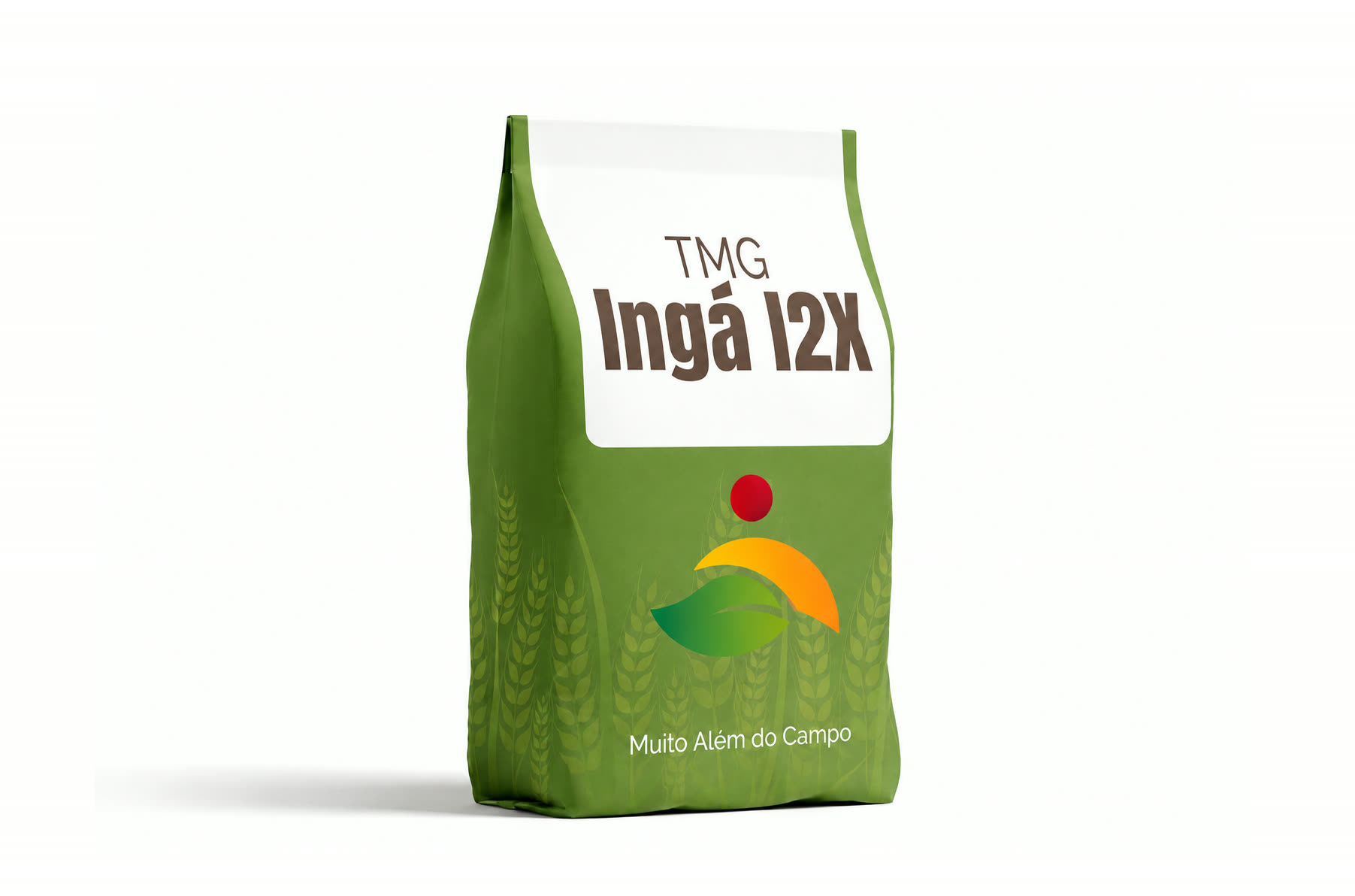 TMG Ingá I2X